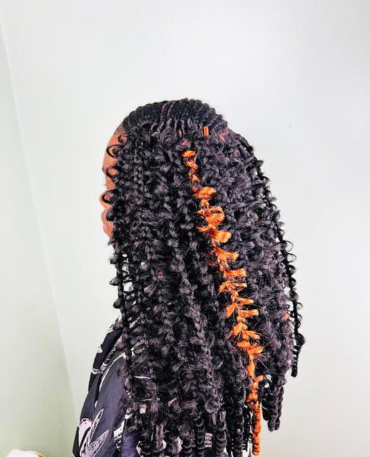 Butterfly Braids